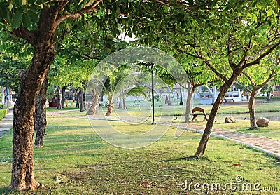 Relax park in morning Stock Photo