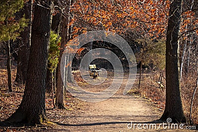 Relaxing bench in a scenic trail at Kensington metro park, Michigan Stock Photo