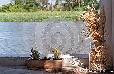 Relaxing corner beside the river with dried ear of rice in a glass jar and little cactus in wooden plant pot for decoration Stock Photo