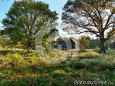 Relaxing country home stead Stock Photo