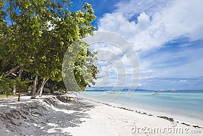 A relaxing scene of trees lining the shoreline in Dumaluan Beach in Panglao Island, Bohol, Philippines Stock Photo