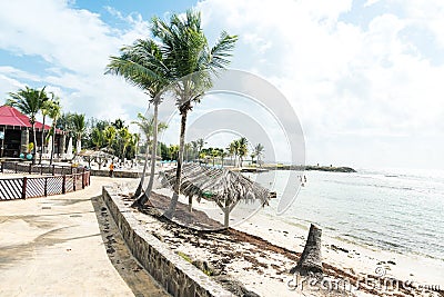 Relaxing scenery at resort in Guadeloupe. Tropical scene with beach chairs and palm trees Stock Photo