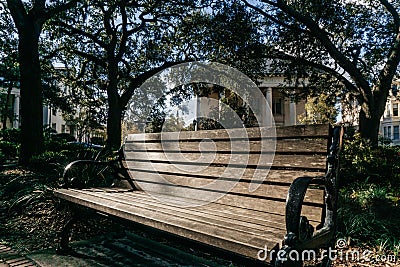 Relaxing spot on a bench between Savannahs beautiful Oak trees with spanish moss Stock Photo