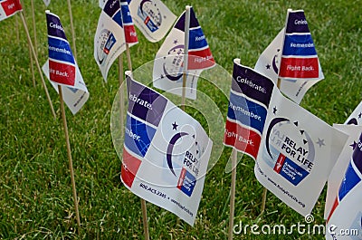 Relay for Life flags Editorial Stock Photo