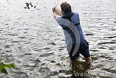 Releasing undersize crabs back to the water Editorial Stock Photo