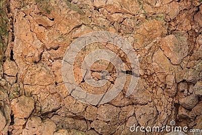 Relief stone texture Stock Photo