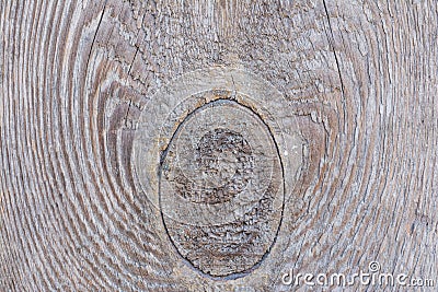 Relief texture of the surface of the old wooden board with poor processing, the expressive direction of the wood fibers and th Stock Photo