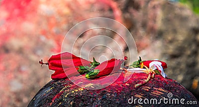 Religious flower offering to Buddha Stock Photo