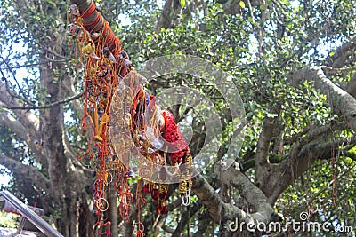 In a religious place where god has once set his foot and left impressions of his feet. People as a belief tie things around tree. Stock Photo