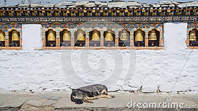 The religious prayer wheels and dog in Bhutan Stock Photo