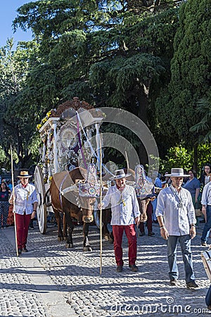 Religious procession with ox-drawn carriage Ronda Spain Editorial Stock Photo