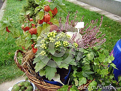 Religious wreathes on Memorial day. Autumn flowers and plants Stock Photo