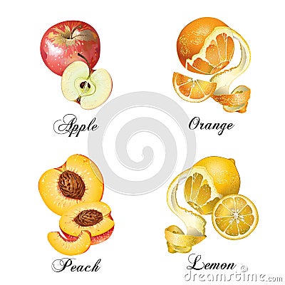 Relistic fruits set Vector Illustration