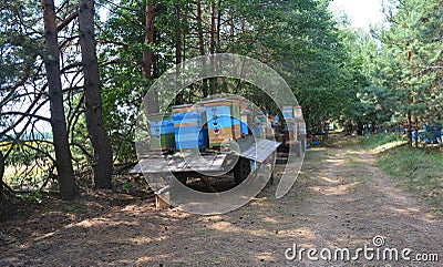 Relocating Bees Caravan in the Forest Colorful Painted Beehives Stock Photo