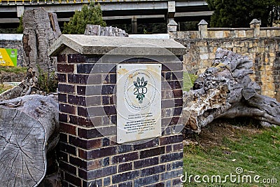 Remains and commemorative plaque to the ancient tree which die recently and it was a silent witness of the Boyaca Battle. Editorial Stock Photo