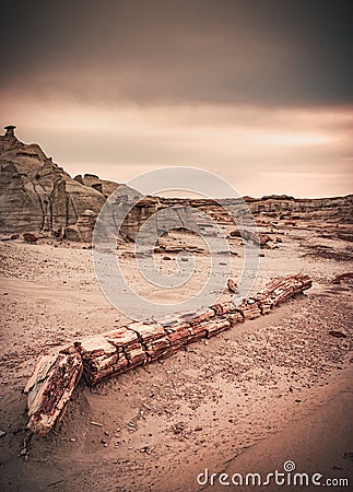 Remains of a Fossilized Tree, Unusual Place on Earth in Bisti Badlands, New Mexico, Usa Stock Photo