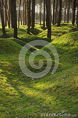 Remains of WW1 trenches at Vimy Ridge, Belgium. Stock Photo