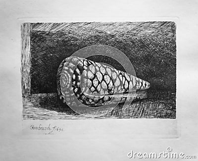 Rembrandt Van Rijn prints, The Shell Editorial Stock Photo