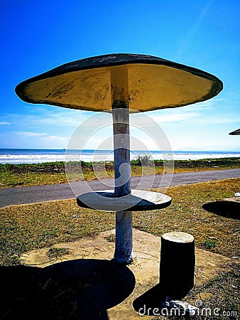 Giant Mushroom at the Pimping Beach Stock Photo