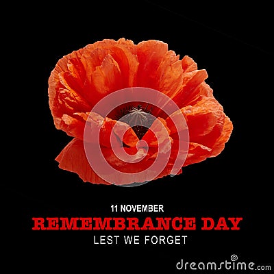 Remembrance day banner. Poppy flower on black background. Stock Photo