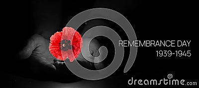 Remembrance Day Banner Template. Red Poppy over Burning Candle in the Human Hands. Stock Photo