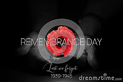 Remembrance Day Banner Template. Red Poppy over Burning Candle in the Human Hands. Stock Photo