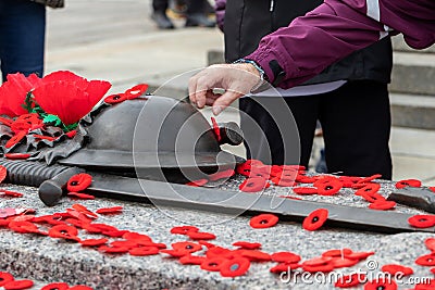 People putting poppy flowers on Tomb of the Unknown Soldier in Ottawa. Remembrance Day in Canada. Editorial Stock Photo