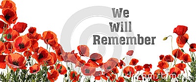 Remembrance day card. Red poppy flowers and text We Will Remember on white background Stock Photo