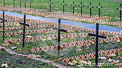 Remembrance Day Poppies Laid Out In The Grounds Of Westminster Abbey city Of Westminster London Editorial Stock Photo