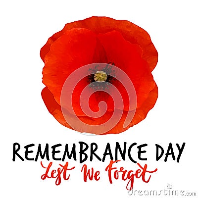 Remembrance day vector poster design Vector Illustration