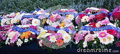 Remembrance day wreaths, least we forget, with Rosemary background, banner heading Stock Photo