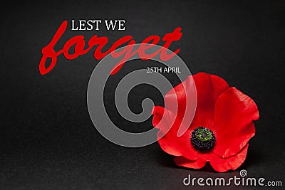 The remembrance poppy - poppy appeal. Poppy flower on black background. Decorative flower for Anzac Day. Stock Photo