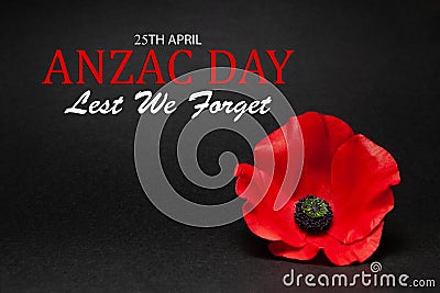 The remembrance poppy - poppy appeal. Poppy flower on black background. Decorative flower for Anzac Day. Stock Photo