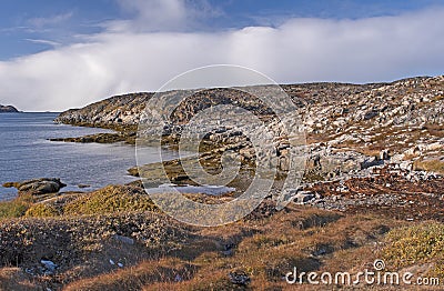 Remote Coastal Area in the Arctic in the Fall Stock Photo