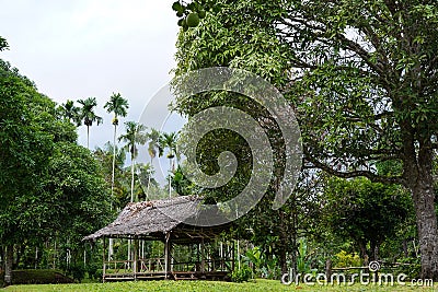 Remote indigenous village in the rainforest Stock Photo