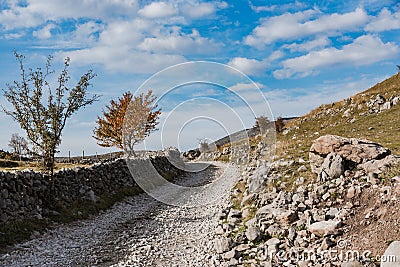 Remote rural road trough traditional pasture farms in Bosnia Stock Photo