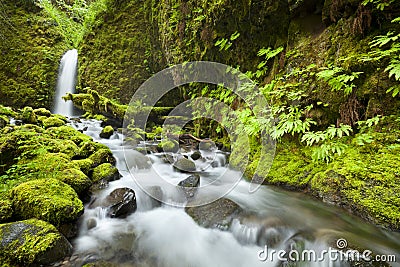 Remote waterfall in rainforest, Columbia River Gorge, USA Stock Photo