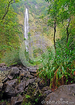 Remote waterfall in rainforest in Hawaii Stock Photo