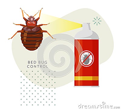 Remove Bed Bugs - Genus Cimex - Stock Illustration Stock Photo