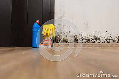 Removing mold allergen Stock Photo