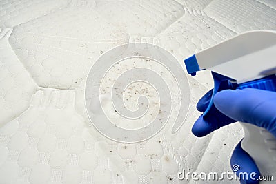 Removing mold with a Foam cleaner. Cleaning a mattress cloth with a liquid stain remover. Fungus, mildew or mould on the fabric Stock Photo