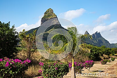 Rempart mountain surrounded by flowering bushes, Tamarin, Mauritius Stock Photo