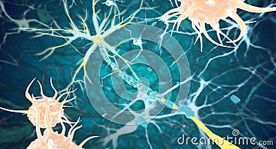 Remyelination is the phenomenon in which new myelin sheaths are Stock Photo