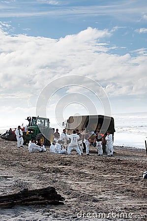 Rena oil spill clean up workers Editorial Stock Photo