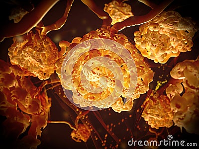 Renal corpuscles filtering the blood in the kidney Stock Photo