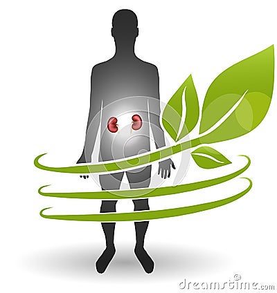 Renal heatlh care concept Vector Illustration