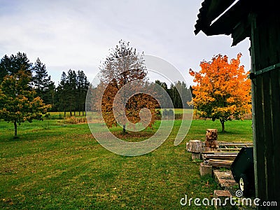 Renda. Autumn. Golden trees. Stock Photo