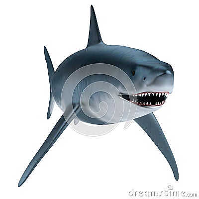 Render of shark Stock Photo