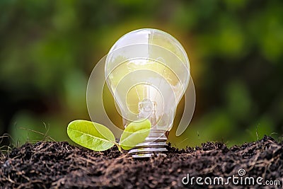 Renewable energy. The bulb is located on the soil, and the leave Stock Photo