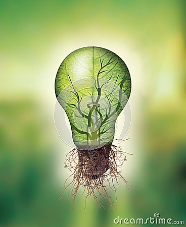 Renewable energy concept - Eco light bulb with leaf and branches inside and roots Stock Photo